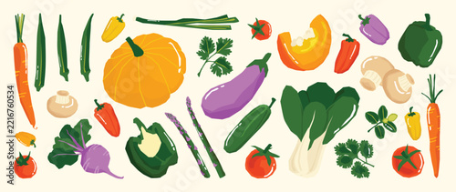 Hand Drawn Vegetable Collection Vector with Okra, Pumpkin, Eggplant, Pepper, Tomato, Chili, Bok Choy and Fresh Herbs for Healthy Food Illustration, Kitchen Decor, Grocery Print, Recipe Design