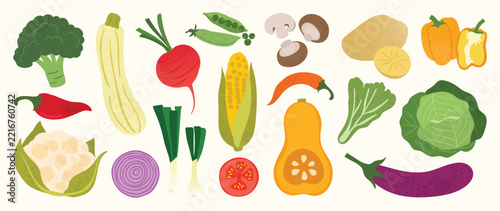 Colorful Vegetable Collection Vector with Broccoli, Corn, Mushroom, Cabbage, Eggplant, Onion, Pepper, Tomato, Squash and Leafy Produce for Healthy Food Illustration, Kitchen Print, Grocery Design