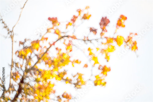 Hintergrund Natur Herbst