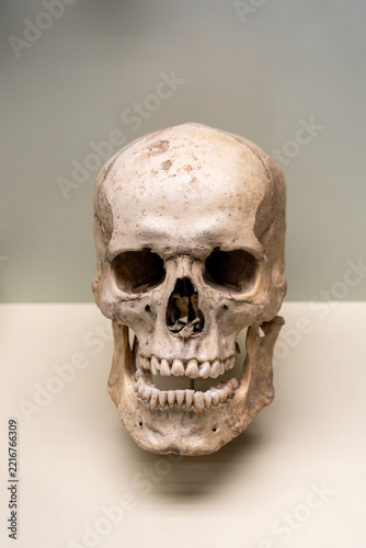 a human skull viewed from the front, on a light surface and against a neutral background