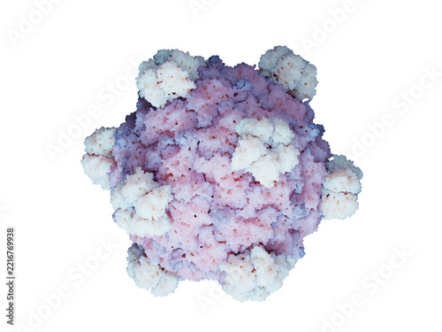 The synthetic bacteriophage Evo-Phi36 created through generative design