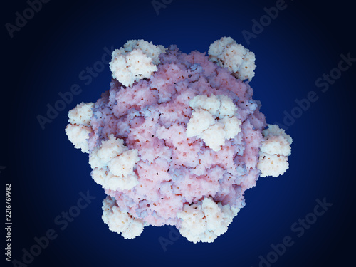 The synthetic bacteriophage Evo-Phi36 created through generative design