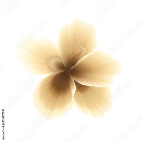 Soft Golden Flower Blending Illustration Vector