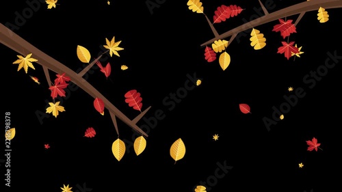 Stylized vibrant autumn leaves gently falling from branches animated loop on alpha channel