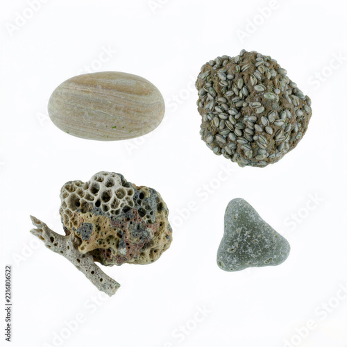 Smooth and porous sea rocks rendered as individual texture samples