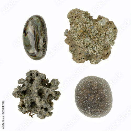 Smooth and porous sea rocks rendered as individual texture samples