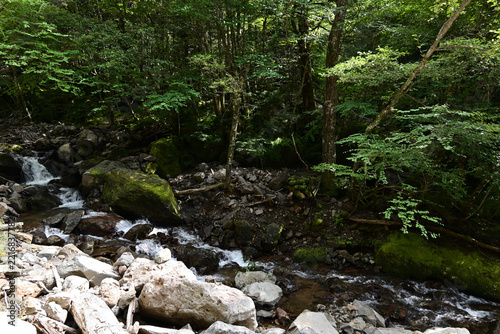 Climbing Mt. Io-dake and Mt. Yoko-dake, Yatsugatake, Nagano, Yamanashi, Japan