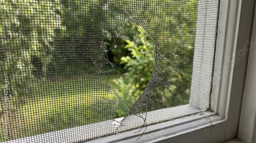 A close-up of a torn window screen with a jagged hole, showing green foliage outside in daylight.