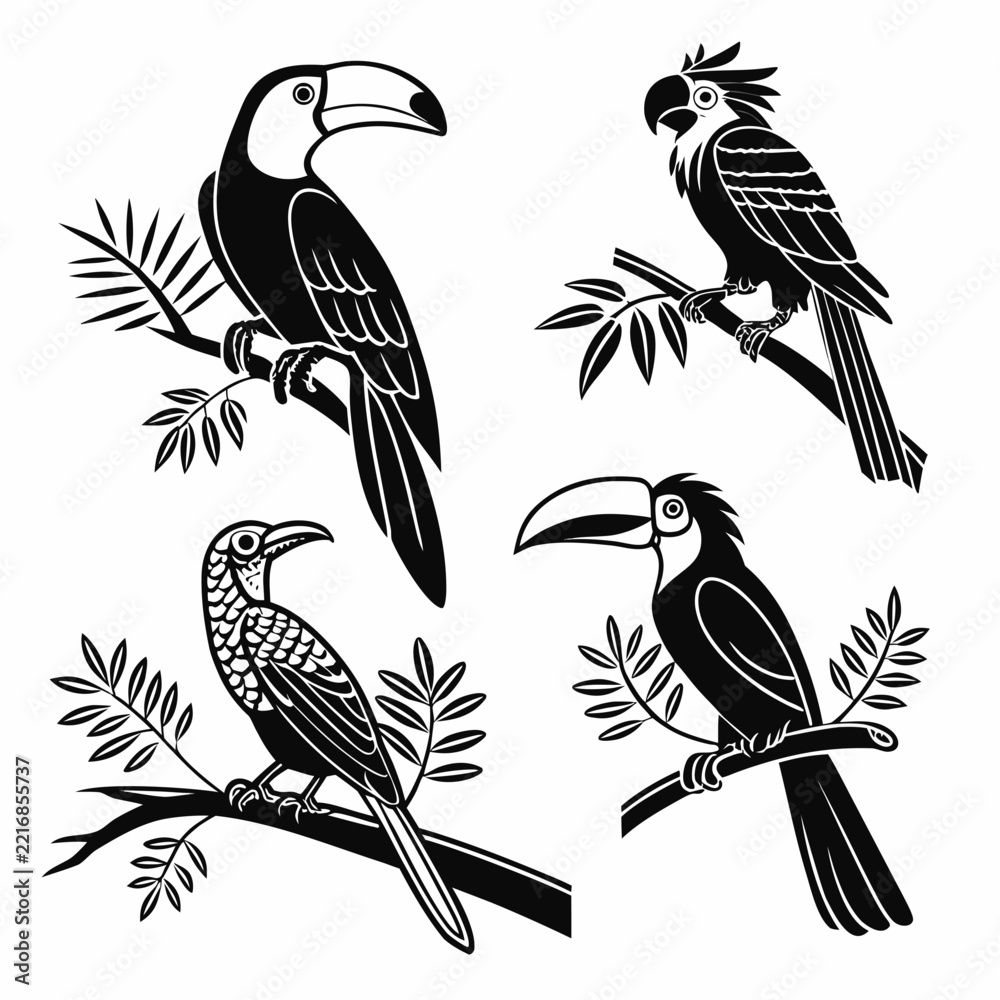 Fototapeta premium Set of four black and white of exotic tropical birds including toucans and parrots perched on tree branches
