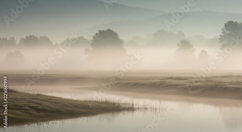 Dense morning mist hovers over the calm river winding through the grassy meadow while tall trees emerge from the golden sunlight filtering across the tranquil wilderness during the early dawn
