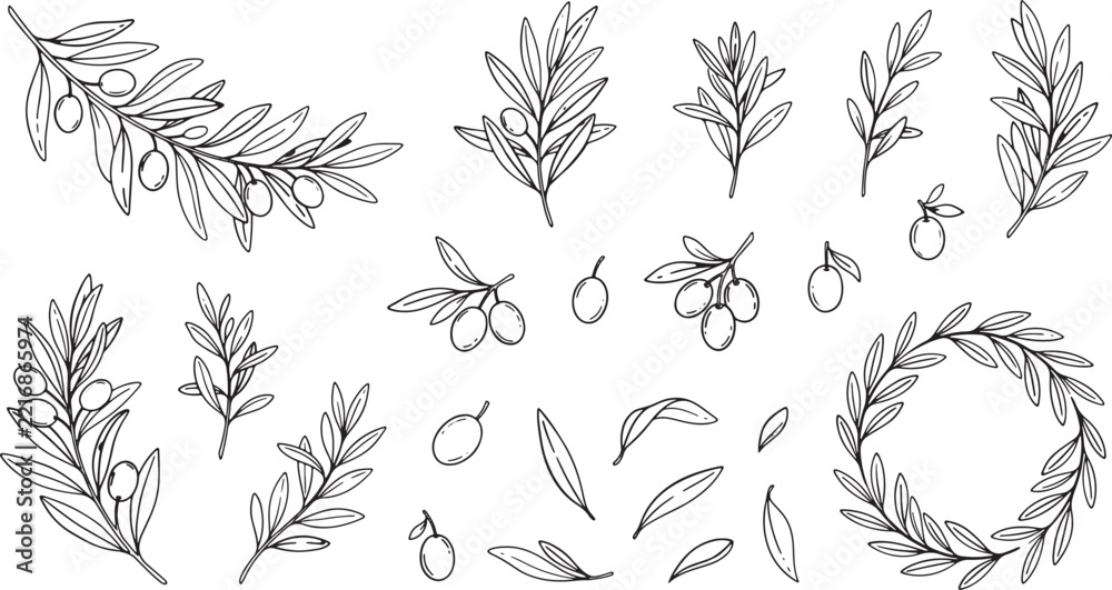 Fototapeta premium Olive Branch and Leaf Vector Set Hand Drawn Botanical Illustration Elements