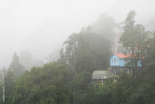 Blue house and forest on a rainy day in Darjeeling, India.