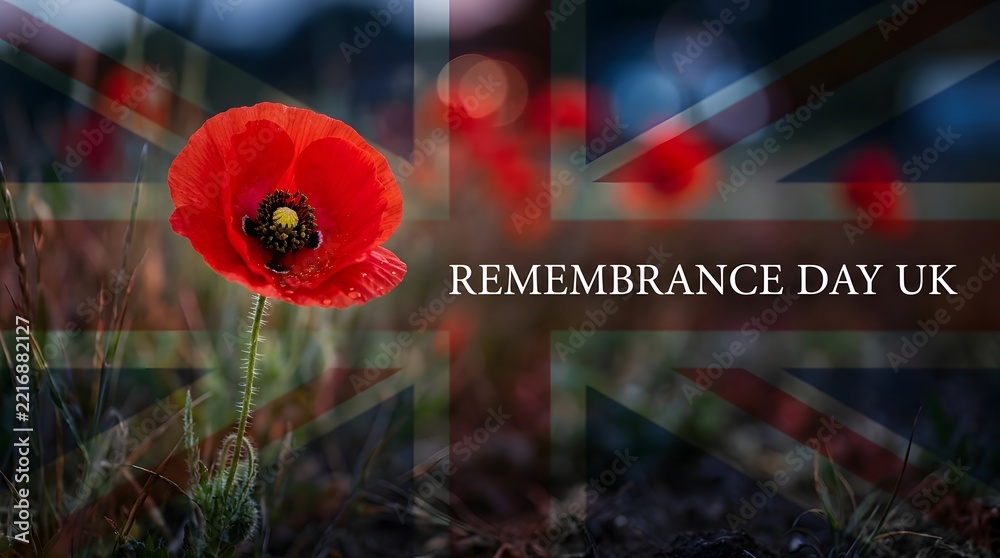 Fototapeta premium Remembrance day in the uk honoring the fallen reflecting on sacrifice and commemorating the bravery of those who served our nation with