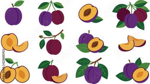 Purple and red plum fruit vector illustration collection for sweet jams and healthy snacks