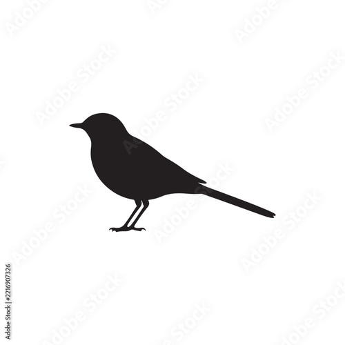 Wagtail silhouette icon vector flat design