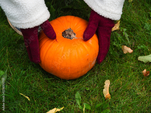 Hands grabbing Autumn orange pumpkin from grass