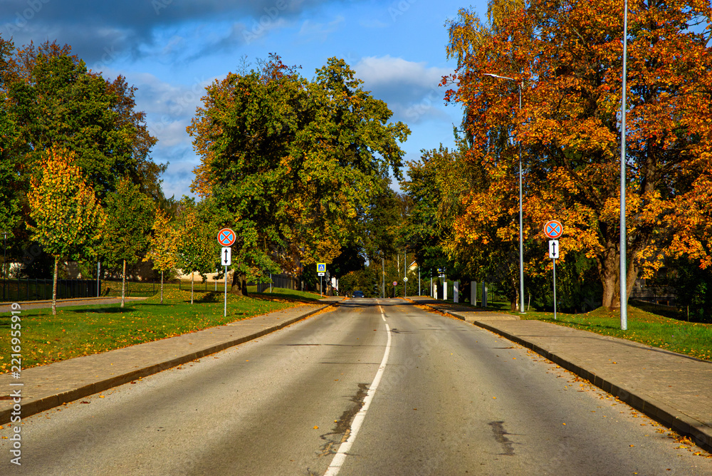 Fototapeta premium Autumn city street lined with colorful trees, sidewalks, road signs, and golden foliage under a partly cloudy blue sky.