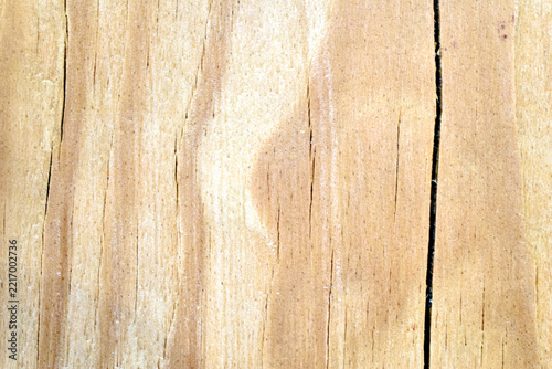 Texture of a light wood surface with a natural grain pattern and a noticeable crack.