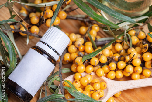  Sea buckthorn berries on branch with oil bottle and wooden spoon on green background. Organic herbal medicine concept for immunity boost