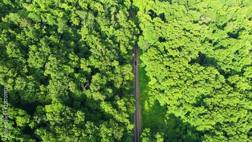 Mountain pass road in North Carolina Appalachian mountains, USA. Blue Ridge Parkway in summer season.