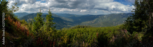 beautiful panorama with alpine pine and mountains under blue sky