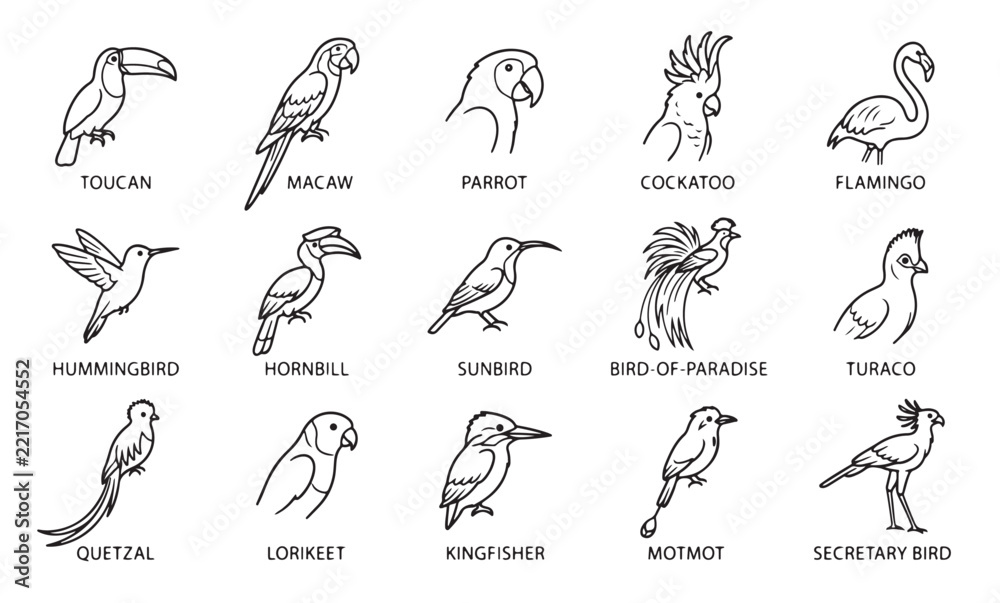 Fototapeta premium Tropical bird