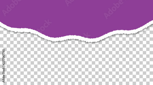 Purple torn paper edge with ragged texture and transparent background for creative graphic design layouts