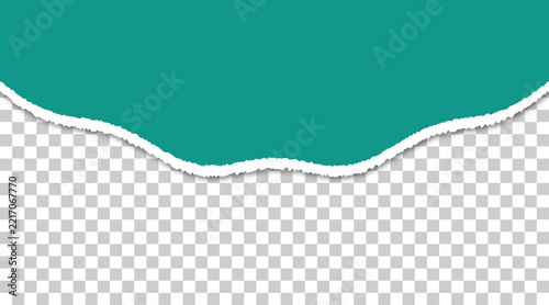 Teal torn paper edge with ragged texture and transparent background for creative graphic design layouts