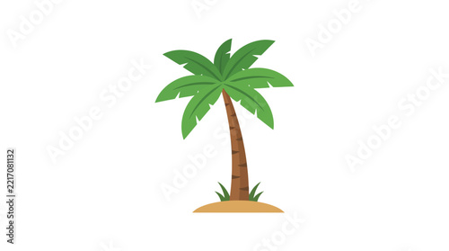 Palm tree illustration with green fronds and sandy base on white background