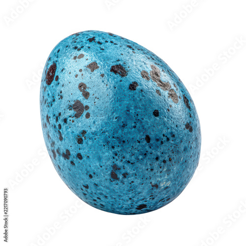 Single blue speckled egg oriented diagonally isolated on transparent background