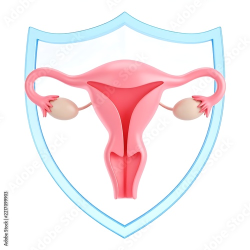 Anatomical illustration of a uterus and ovaries within a protective shield