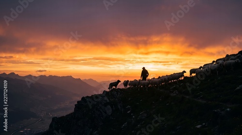 Shepherd and Flock of Sheep on a Mountain Ridge at Sunset
