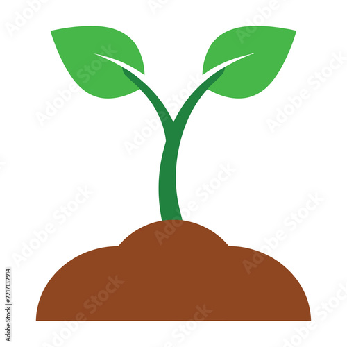 Green plant sprout growing from brown soil with two leaves on white background