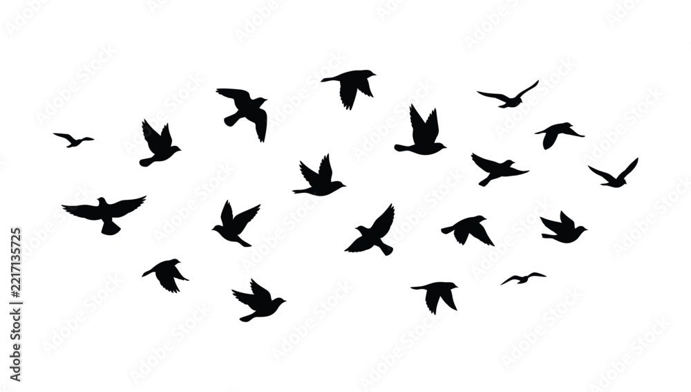 Fototapeta premium Flying bird silhouettes, flock of birds in dynamic flight for architectural entourage, landscape rendering, exterior elevations and graphic design