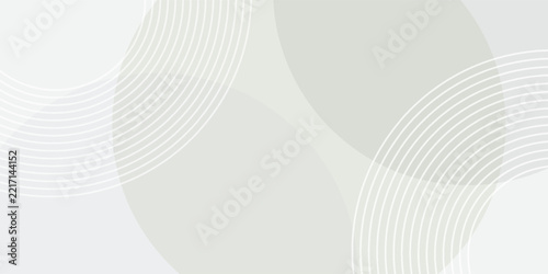 White geometric abstract background overlap layer on bright space with lines effect decoration. Modern graphic design element circles style concept for banner.