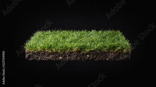A rectangular section of green grass with soil roots floating against a solid black background with rectangular cross roots isolated grass visible environment with agriculture