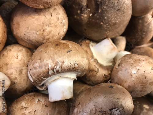 Close-Up of Brown Mushrooms
