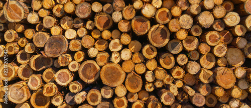 Yatsushiro, Kumamoto Pref, Japan - Oct 9 2024, A panoramic view of stacked logs and lumber showing end-cuts of wood prepared for transport, without people, at daytime, Yatsushiro, Japan