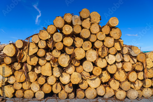 Yatsushiro, Kumamoto Pref, Japan - Oct 9 2024, A panoramic view of stacked logs and lumber showing end-cuts of wood prepared for transport, without people, at daytime, Yatsushiro, Japan