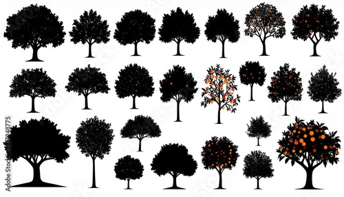 Collection of Diverse Tree Silhouettes in Various Shapes and Sizes.