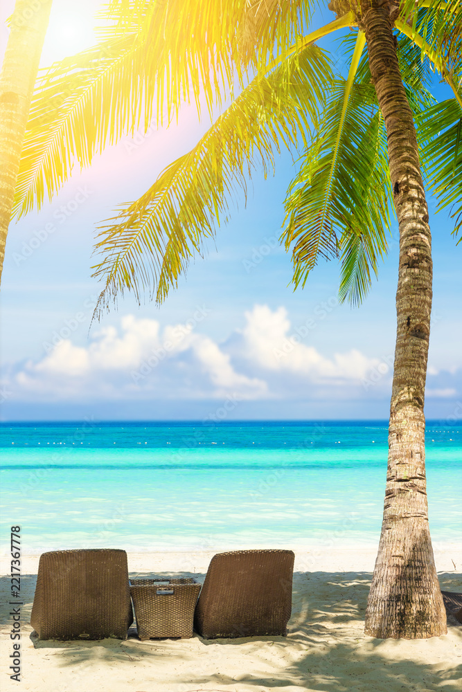 Fototapeta premium sandy beach with palm trees and sun loungers on the seashore