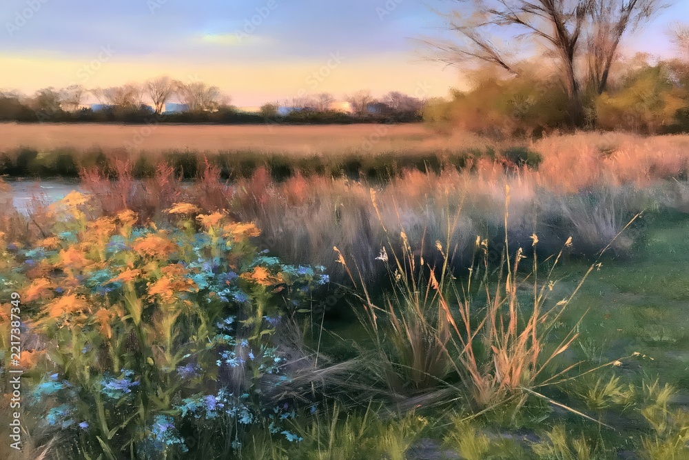 Fototapeta premium Field with wildflowers at sunset