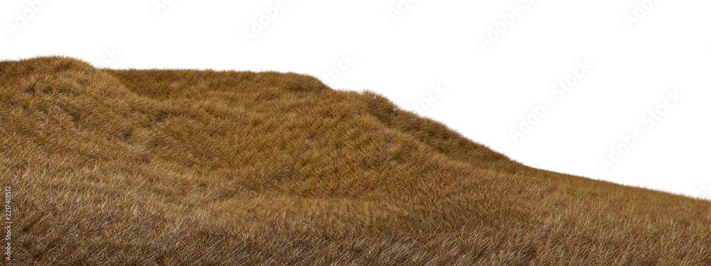 Naklejka premium Dried grass fields barren terrain cutout transparent backgrounds 3d rendering png