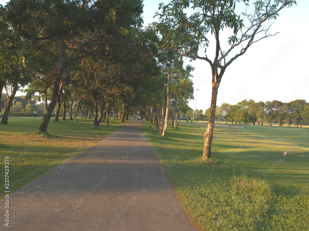 Fototapeta premium Paved Pathway Winding Through Lush Green Park with Trees