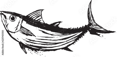 墨絵のカツオの魚イラスト