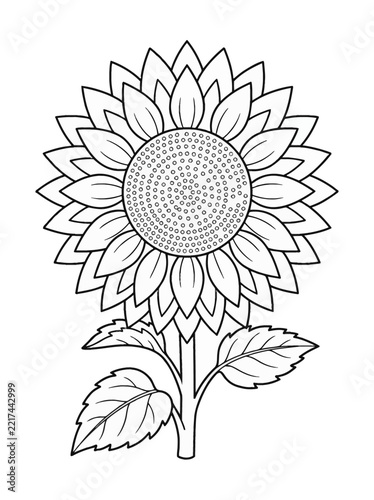 Sunflower line art coloring page concept illustration with colorful elements for creative decoration and seasonal celebration isolated background