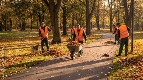 Park maintenance raking autumn fallen leaves in a sunny park setting  