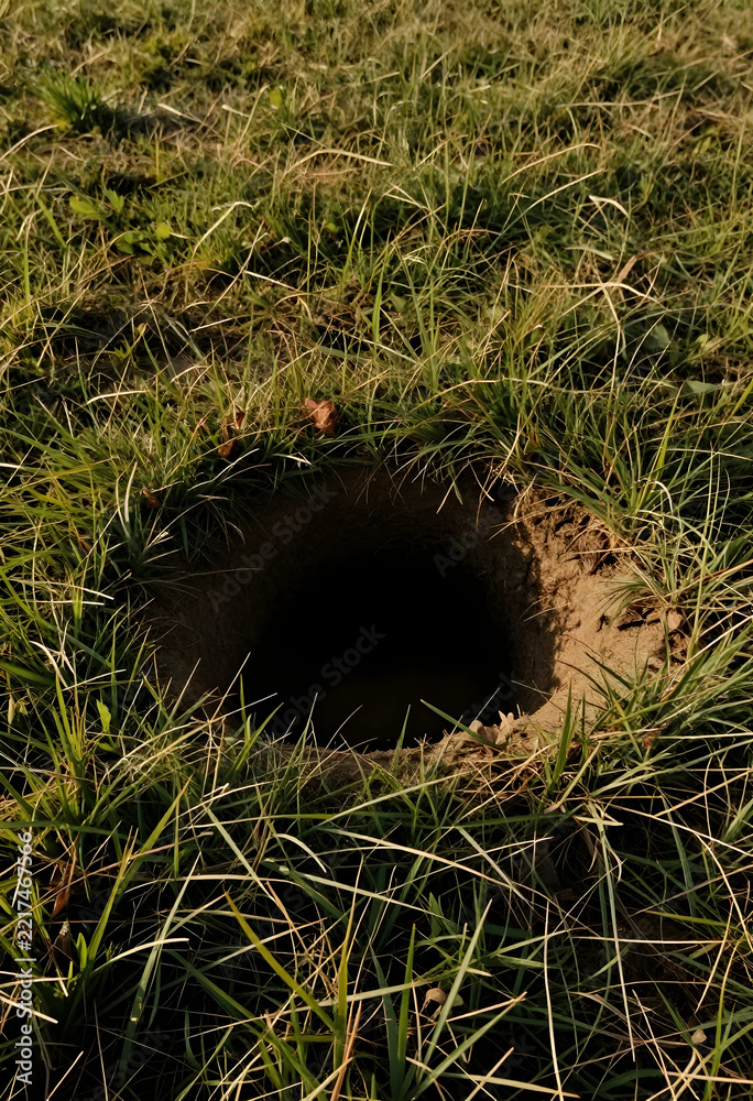 Fototapeta premium Mystery and unknown concept, deep dark hole in the ground surrounded by green grass in a meadow, metaphor for danger or hidden secrets in nature