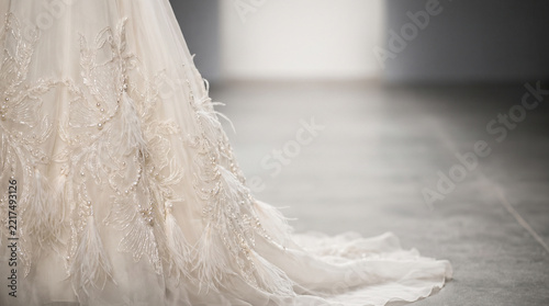 Luxury Fashion Abstract - Minimalist Haute Couture Concept