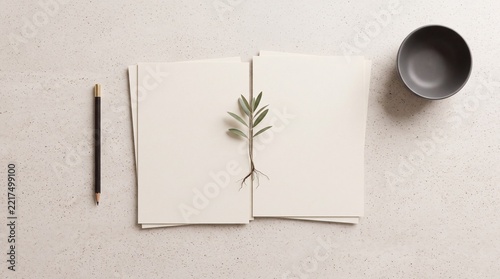 Minimalist top down overhead view of blank white paper pages with a small green plant sprig, a black pencil, and a dark ceramic bowl on a light speckled stone surface for creative mockup designs.